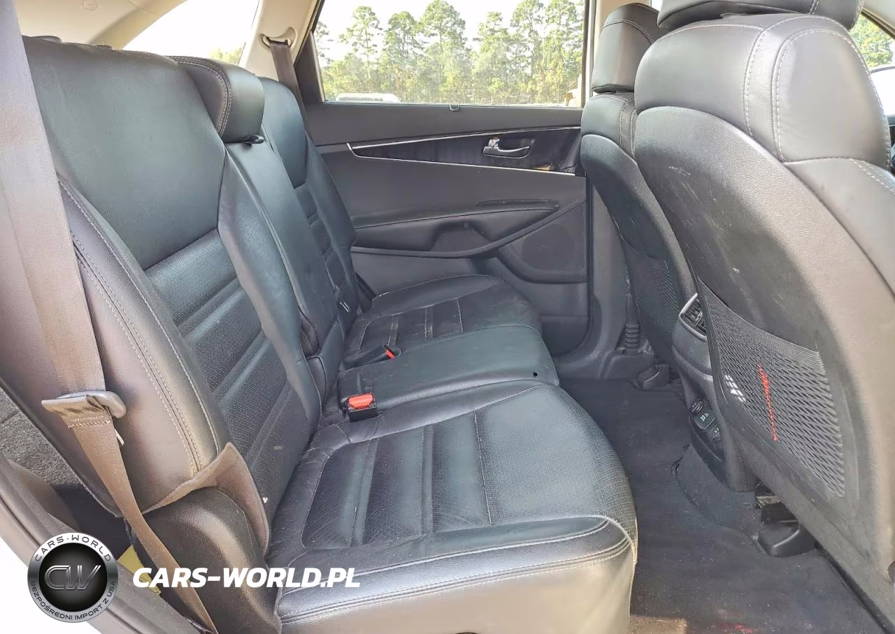 2017 Kia Sorento Ex VIN:5XYPH4A14HG274989 - 10