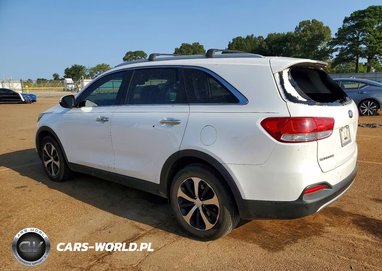 2017 Kia Sorento Ex VIN:5XYPH4A14HG274989 - 2