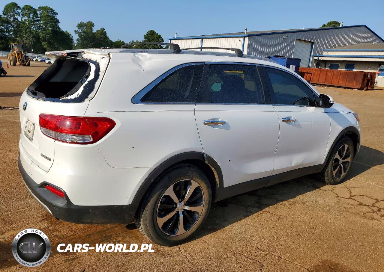 2017 Kia Sorento Ex VIN:5XYPH4A14HG274989 - 3