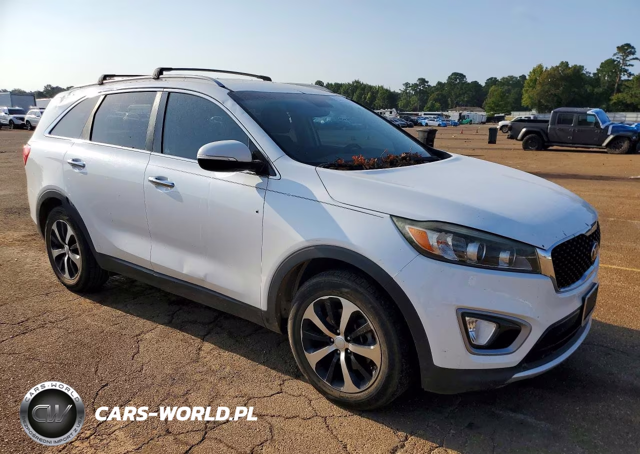 2017 Kia Sorento Ex VIN:5XYPH4A14HG274989 - 4