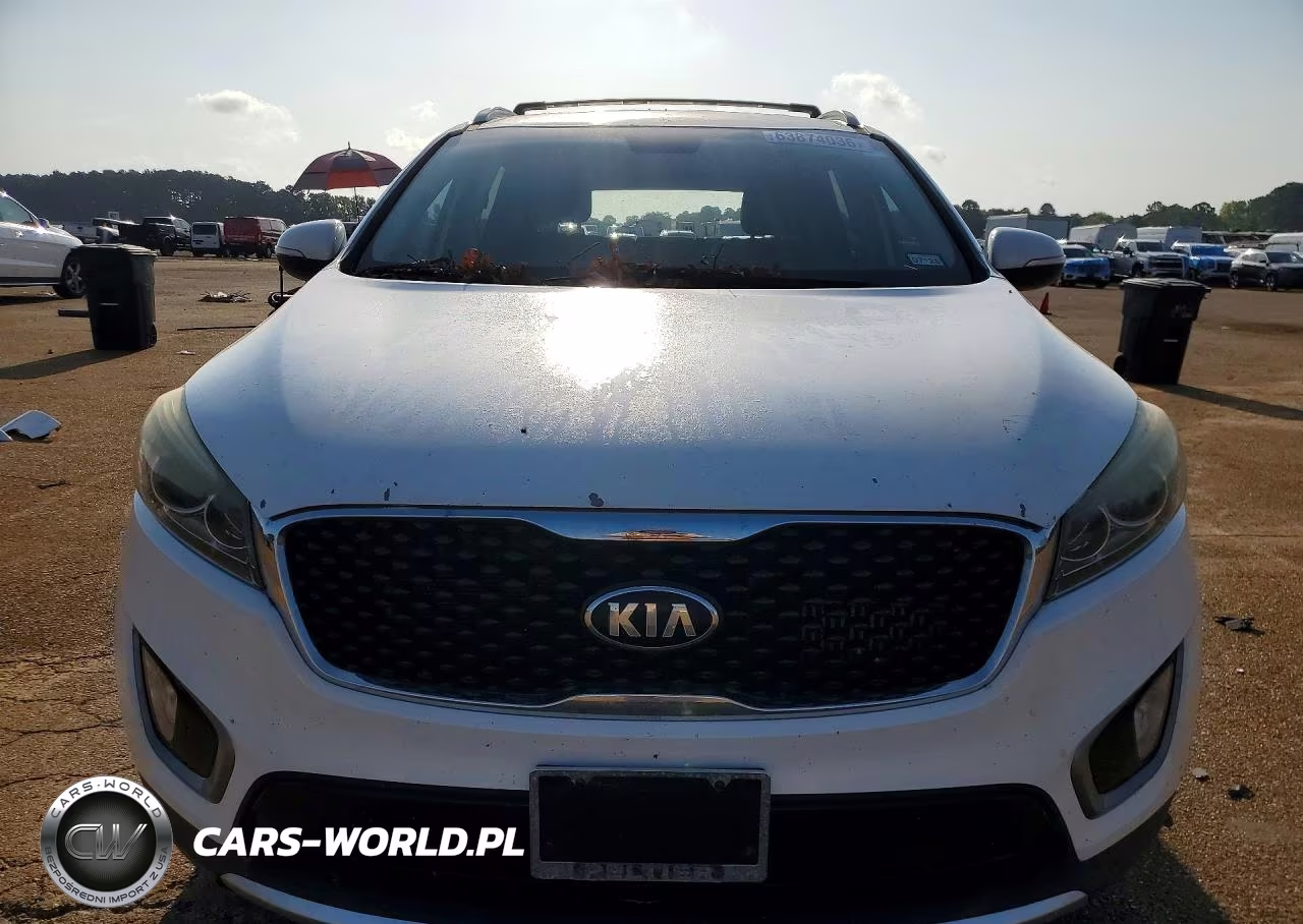 2017 Kia Sorento Ex VIN:5XYPH4A14HG274989 - 5