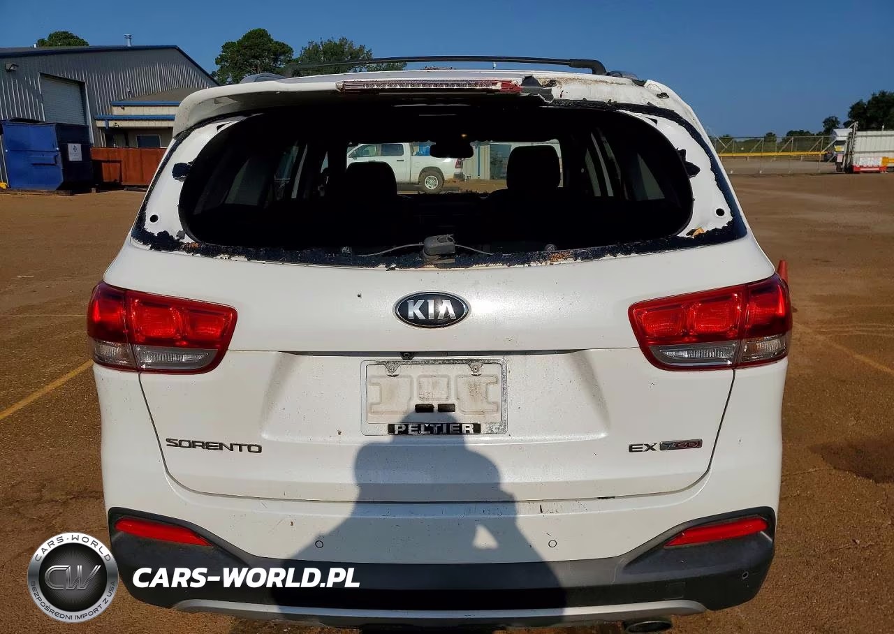 2017 Kia Sorento Ex VIN:5XYPH4A14HG274989 - 6