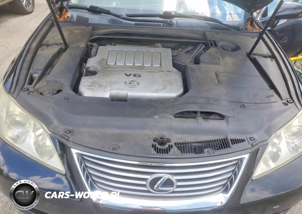 2009 Lexus Es 350 VIN:JTHBJ46G192332403 - 11