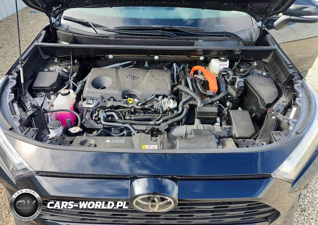 2025 Toyota Rav4 Le VIN:JTMMWRFV5SD347682 - 12