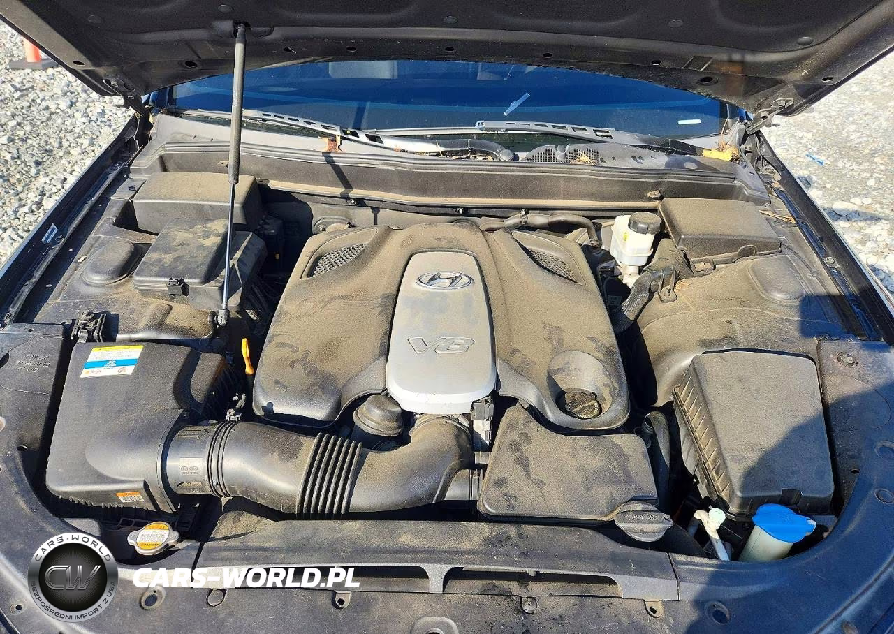 2010 Hyundai Genesis 4.6L VIN:KMHGC4DF6AU107975 - 11