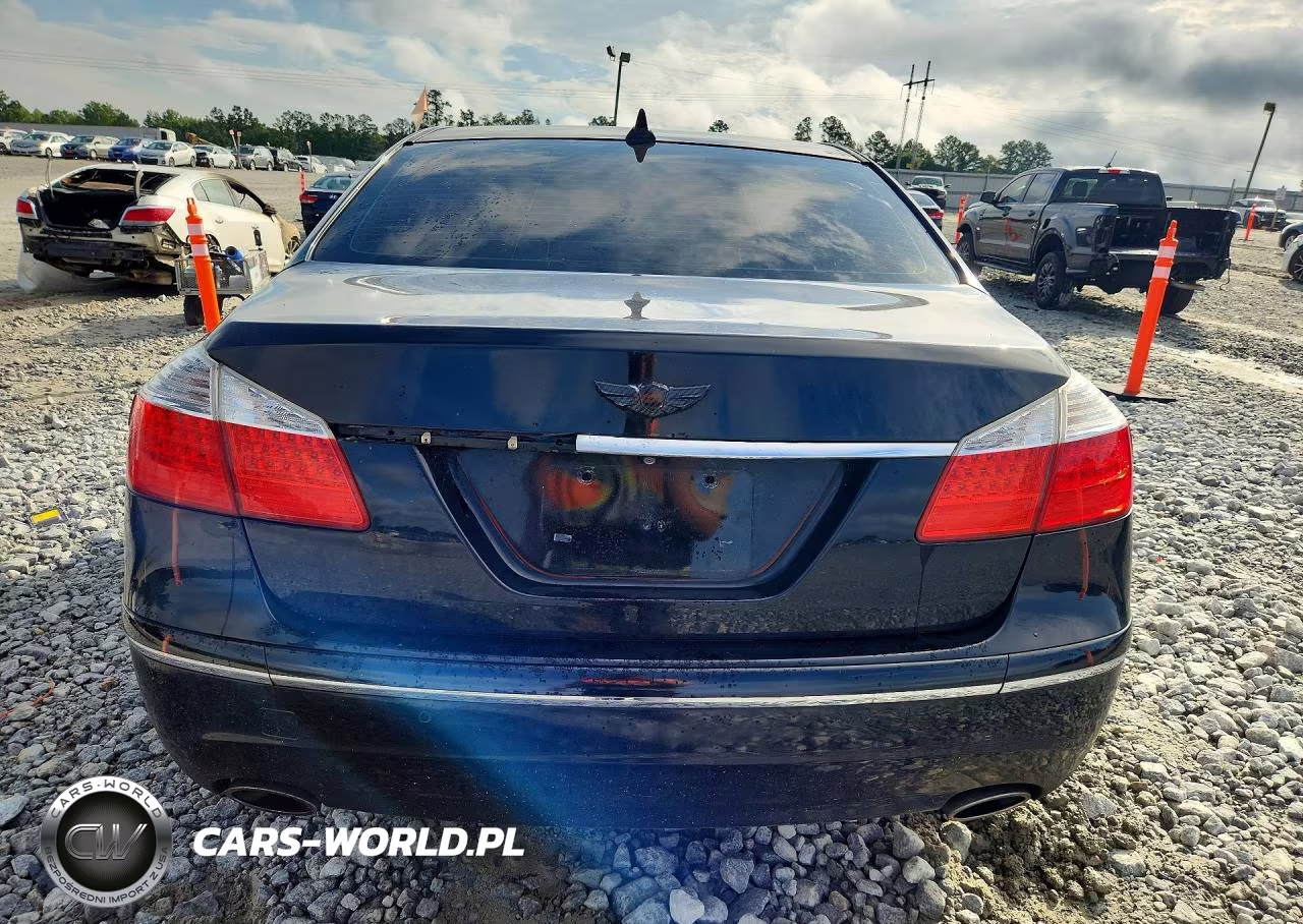 2010 Hyundai Genesis 4.6L VIN:KMHGC4DF6AU107975 - 6