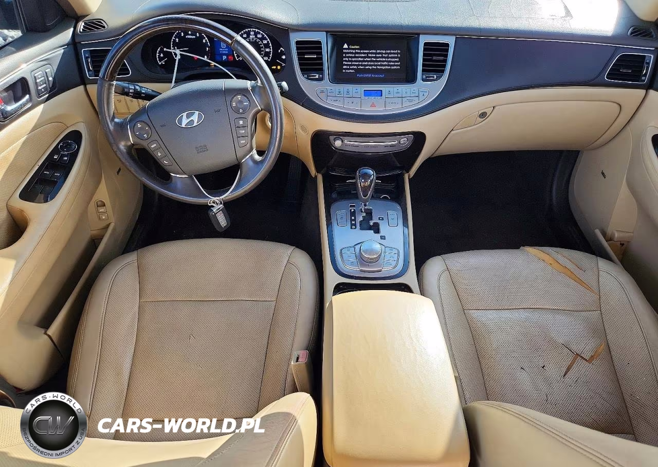 2010 Hyundai Genesis 4.6L VIN:KMHGC4DF6AU107975 - 8