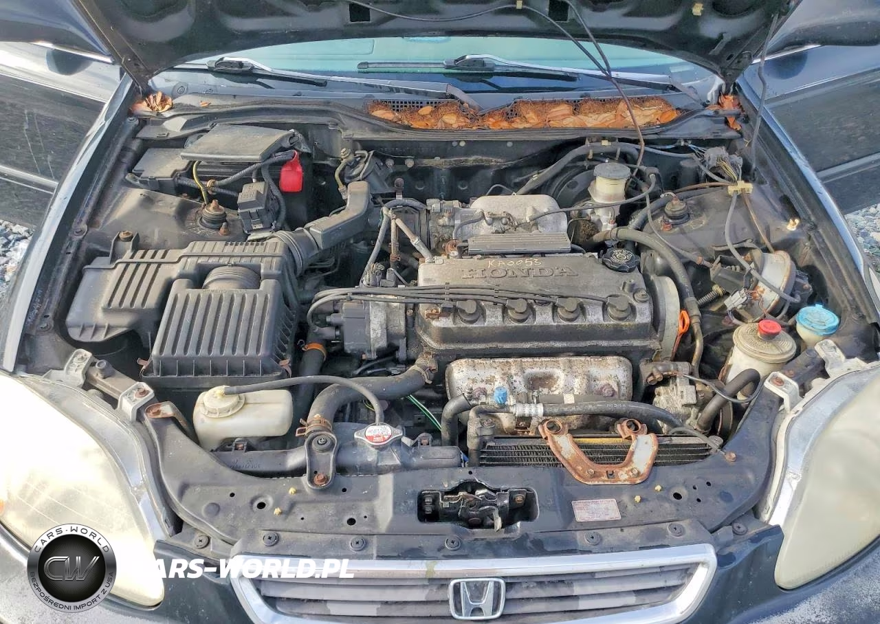 1996 Honda Civic Ex VIN:1HGEJ8648TL006712 - 11