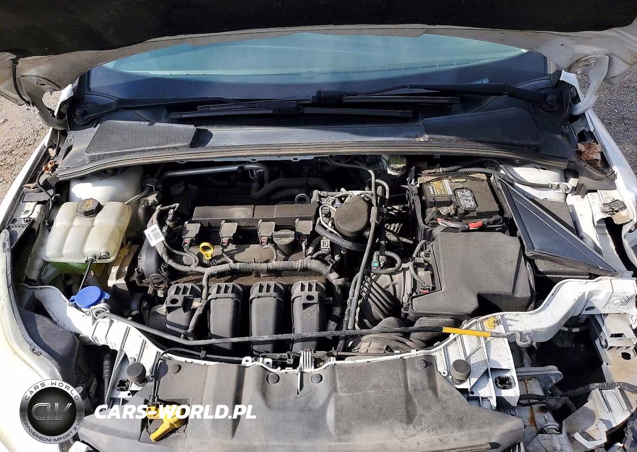 2014 Ford Focus Se VIN:1FADP3F23EL292195 - 11