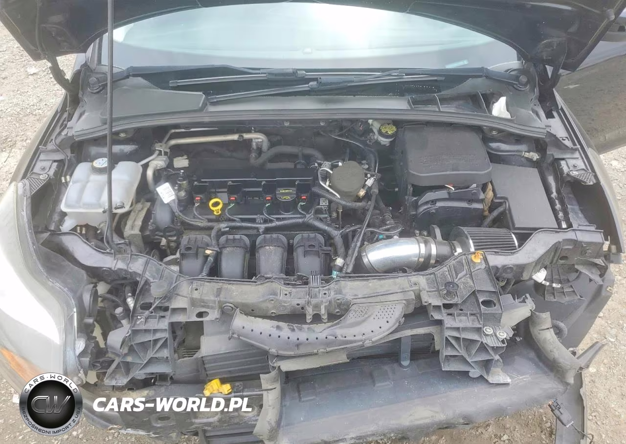2013 Ford Focus Se VIN:1FADP3K22DL174465 - 11