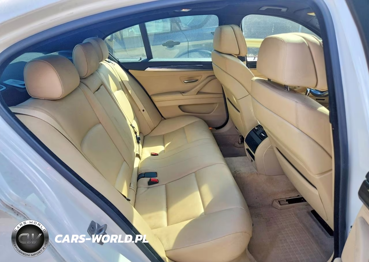2013 BMW 528 Xi VIN:WBAXH5C55DDW13433 - 10