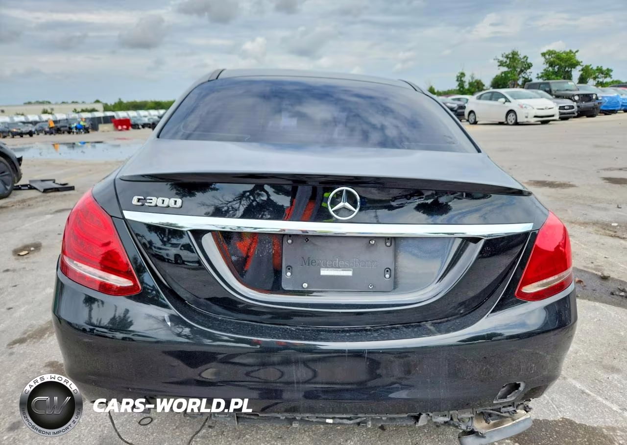 2016 Mercedes-Benz C 300 VIN:55SWF4JB0GU101453 - 6