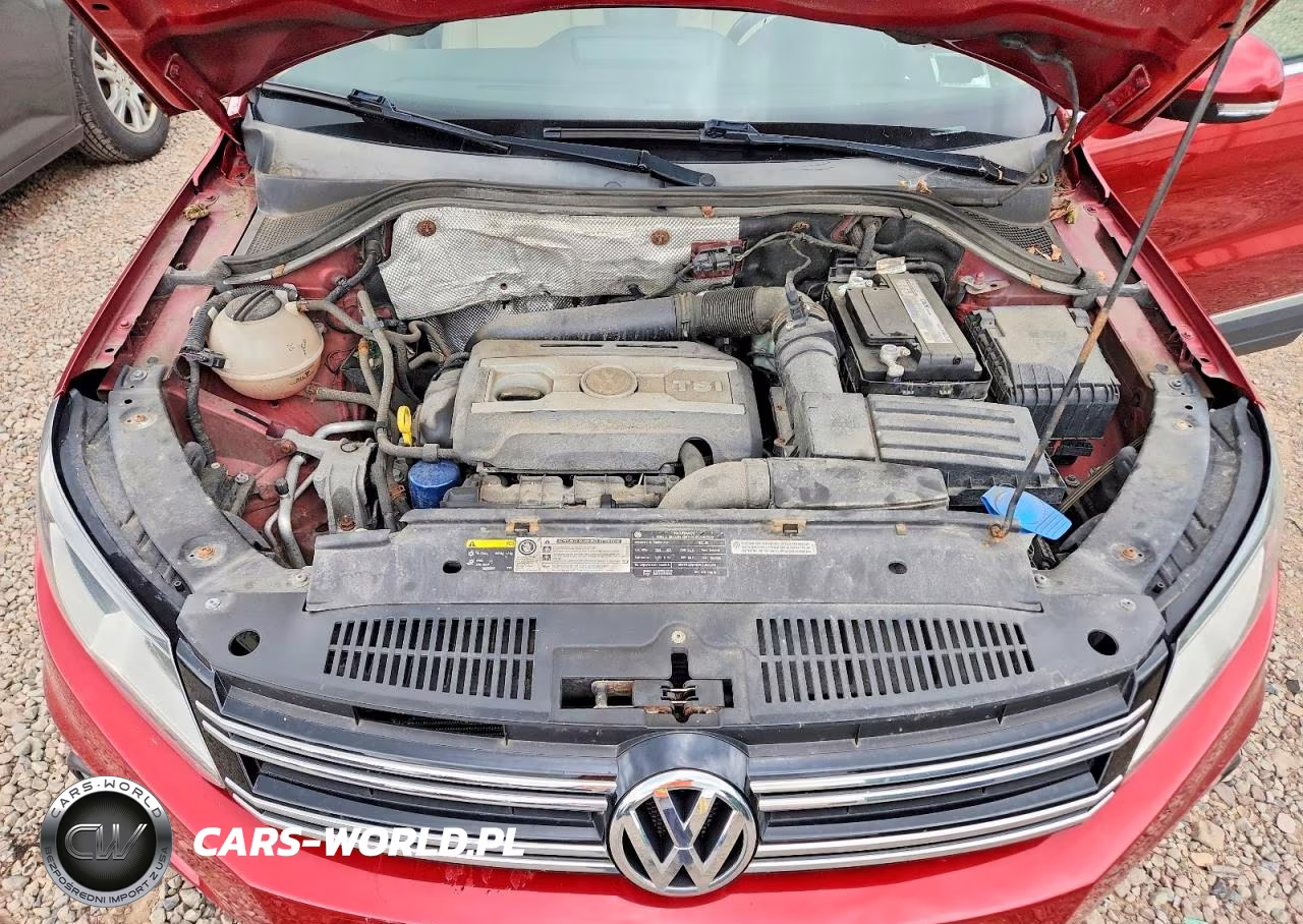 2015 Volkswagen Tiguan S VIN:WVGBV7AX4FW098949 - 11
