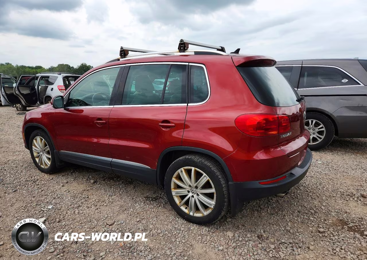 2015 Volkswagen Tiguan S VIN:WVGBV7AX4FW098949 - 2