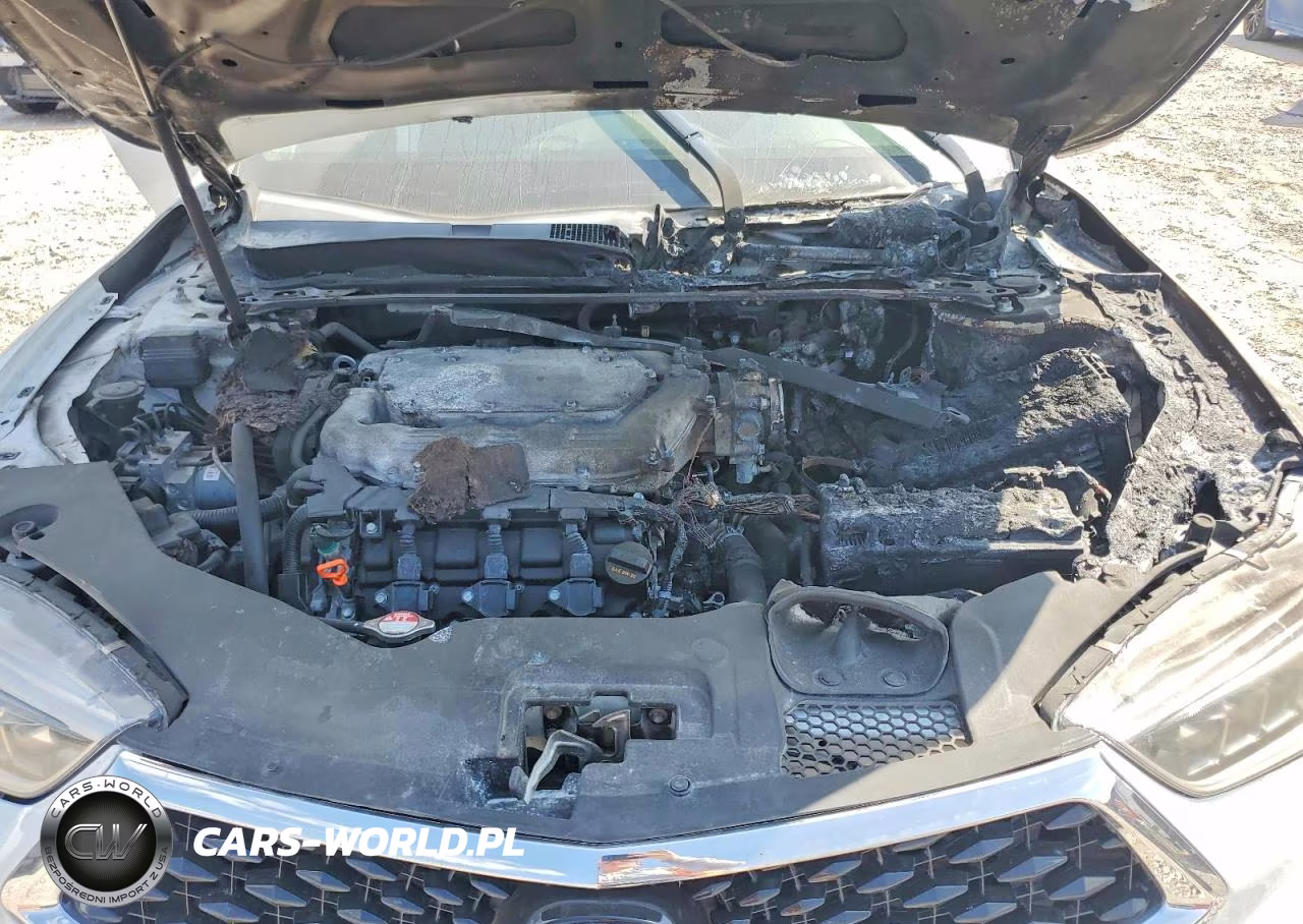 2019 Acura Tlx Technology VIN:19UUB2F45KA001872 - 11