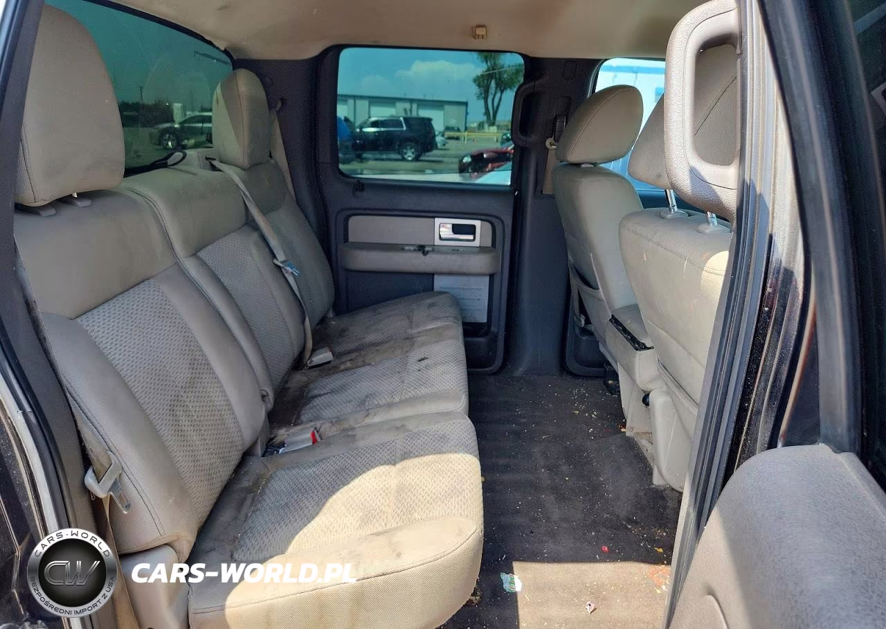 2010 Ford F150 Supercrew VIN:1FTEW1C89AFA08253 - 10