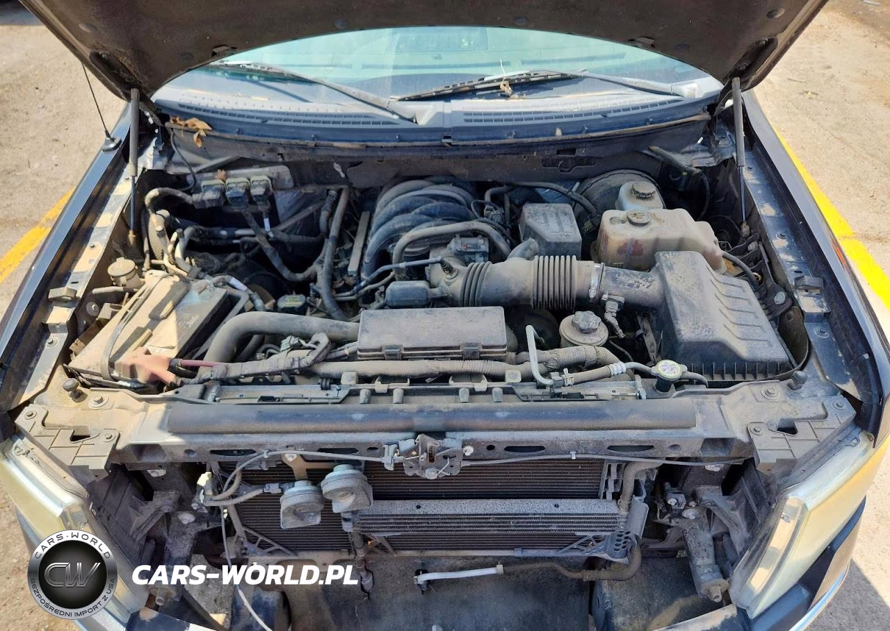 2010 Ford F150 Supercrew VIN:1FTEW1C89AFA08253 - 11