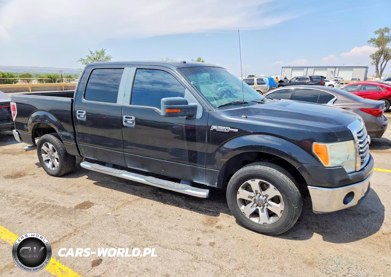 2010 Ford F150 Supercrew VIN:1FTEW1C89AFA08253 - 4
