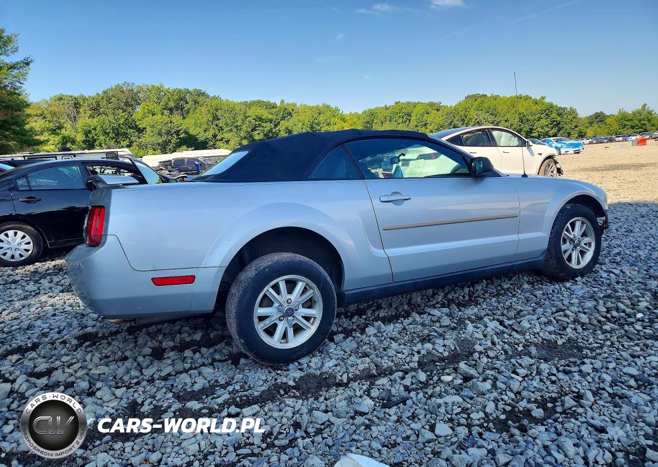 2006 Ford Mustang VIN:1ZVFT84N465126070 - 3