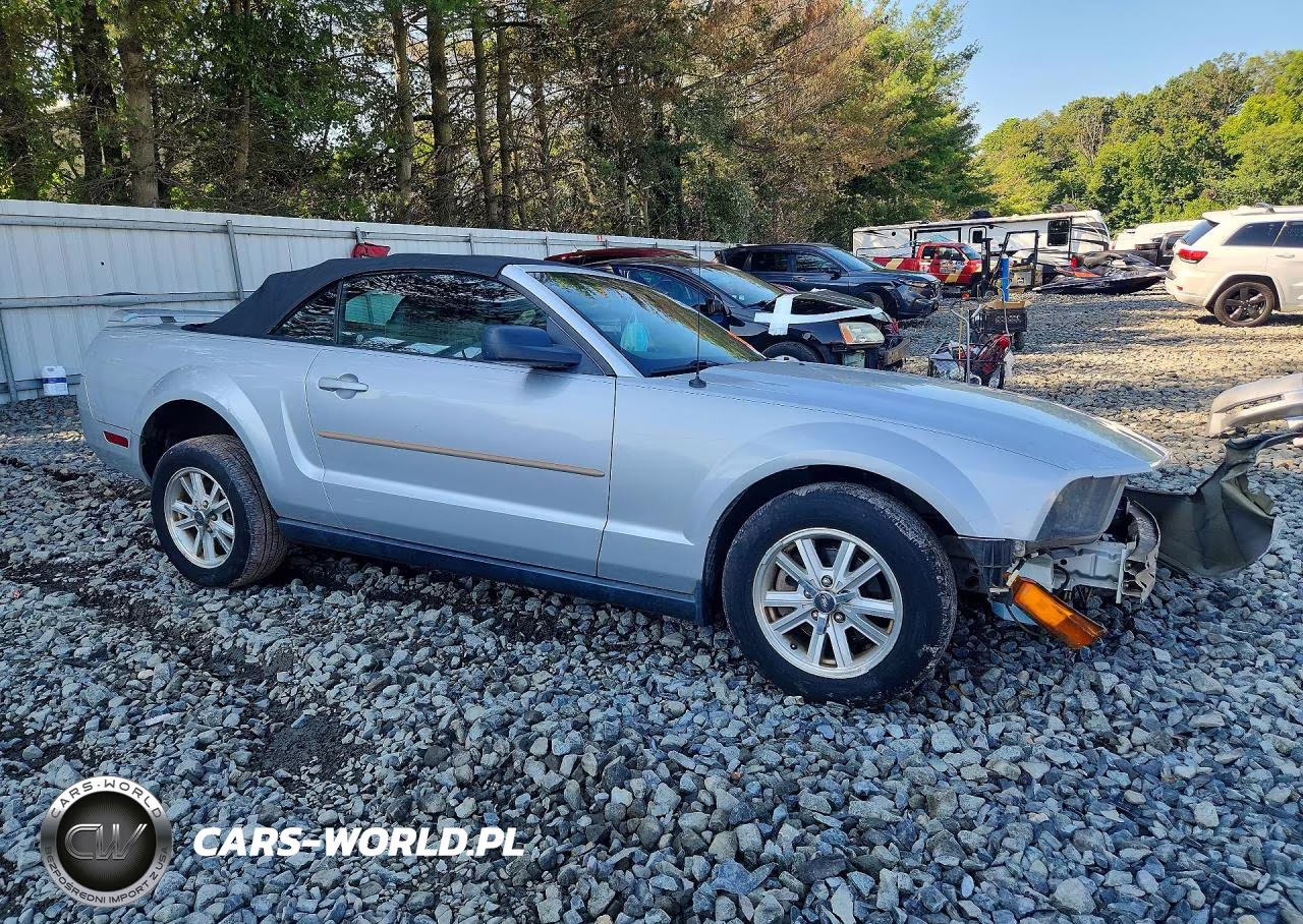 2006 Ford Mustang VIN:1ZVFT84N465126070 - 4
