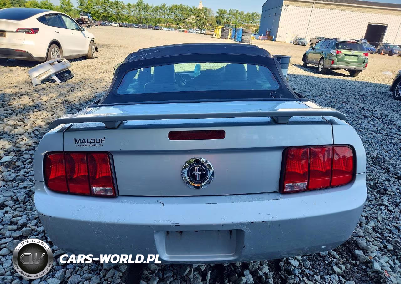 2006 Ford Mustang VIN:1ZVFT84N465126070 - 6