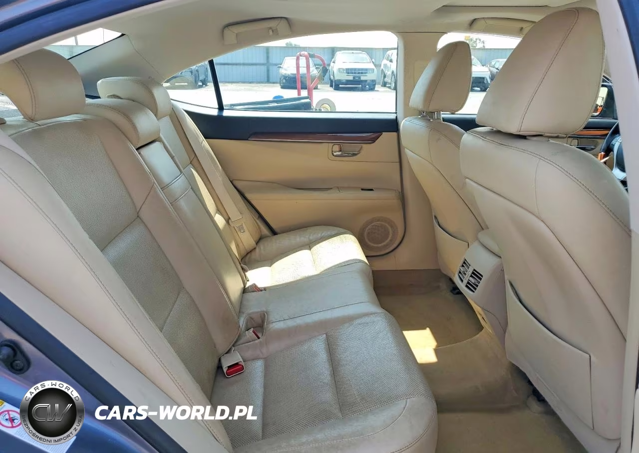2013 Lexus Es 300H VIN:JTHBW1GG8D2030209 - 10
