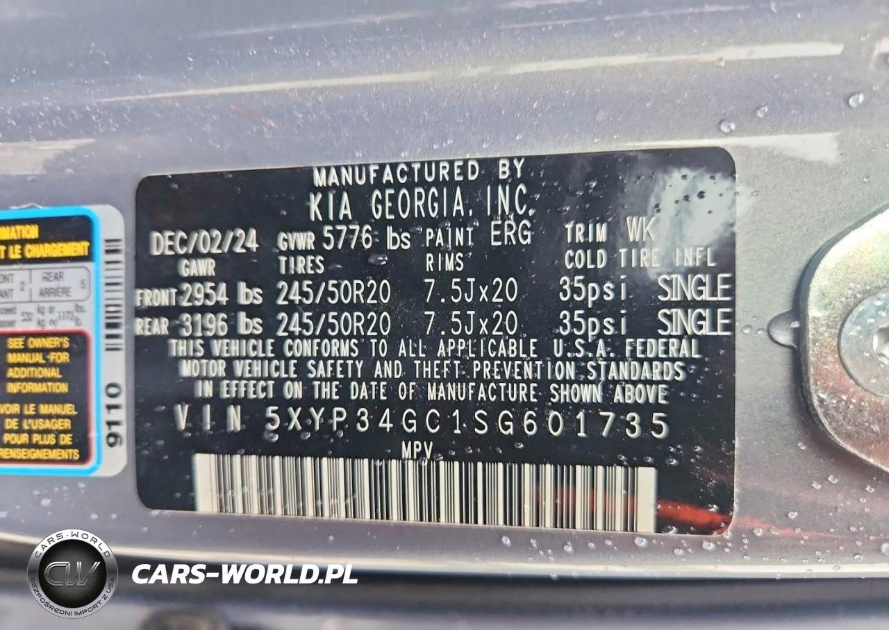2025 Kia Telluride Ex VIN:5XYP34GC1SG601735 - 13