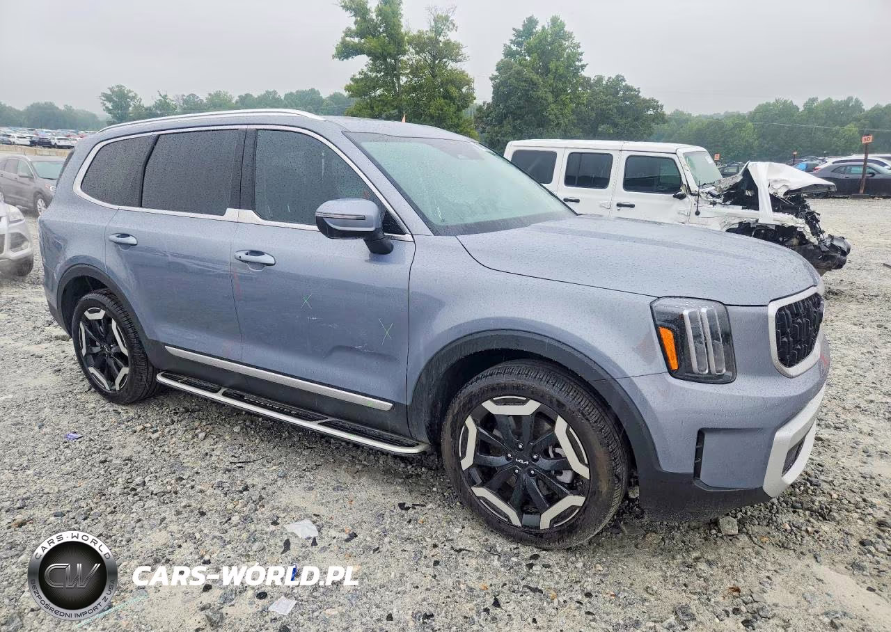 2025 Kia Telluride Ex VIN:5XYP34GC1SG601735 - 4