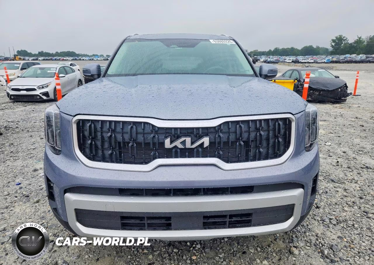 2025 Kia Telluride Ex VIN:5XYP34GC1SG601735 - 5