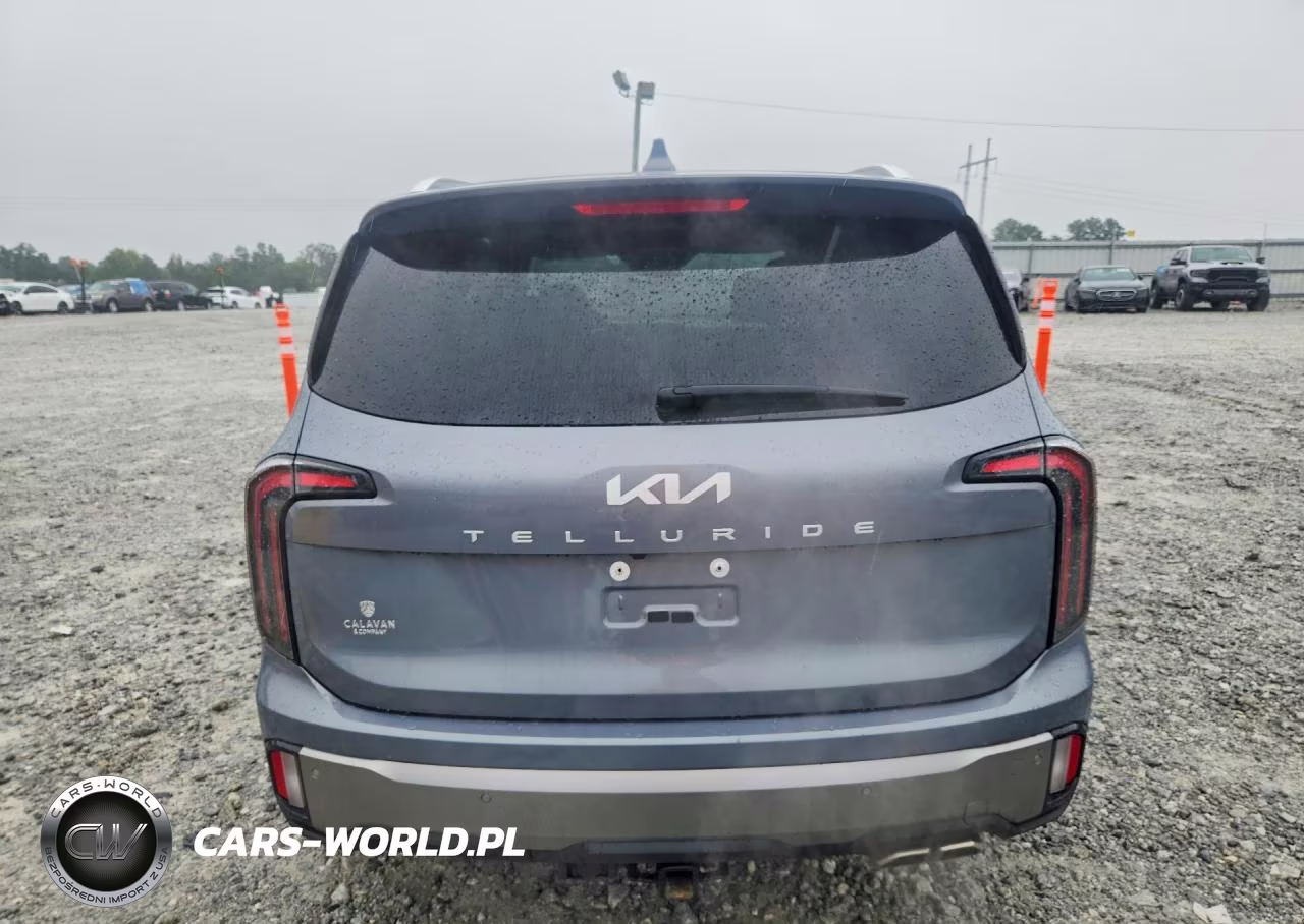 2025 Kia Telluride Ex VIN:5XYP34GC1SG601735 - 6