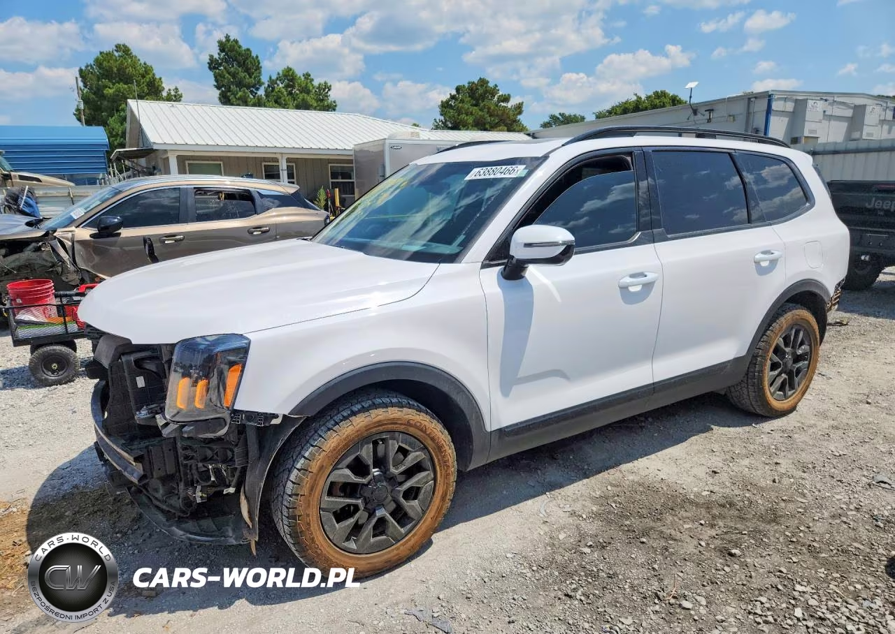 2025 Kia Telluride Sx-Prestige X-Pro VIN:5XYP5DGC9SG627655 - 1