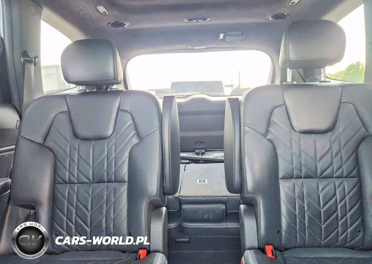 2025 Kia Telluride Sx-Prestige X-Pro VIN:5XYP5DGC9SG627655 - 10