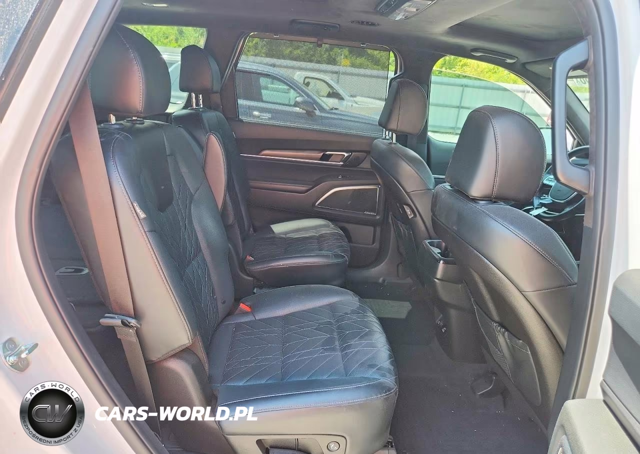 2025 Kia Telluride Sx-Prestige X-Pro VIN:5XYP5DGC9SG627655 - 11