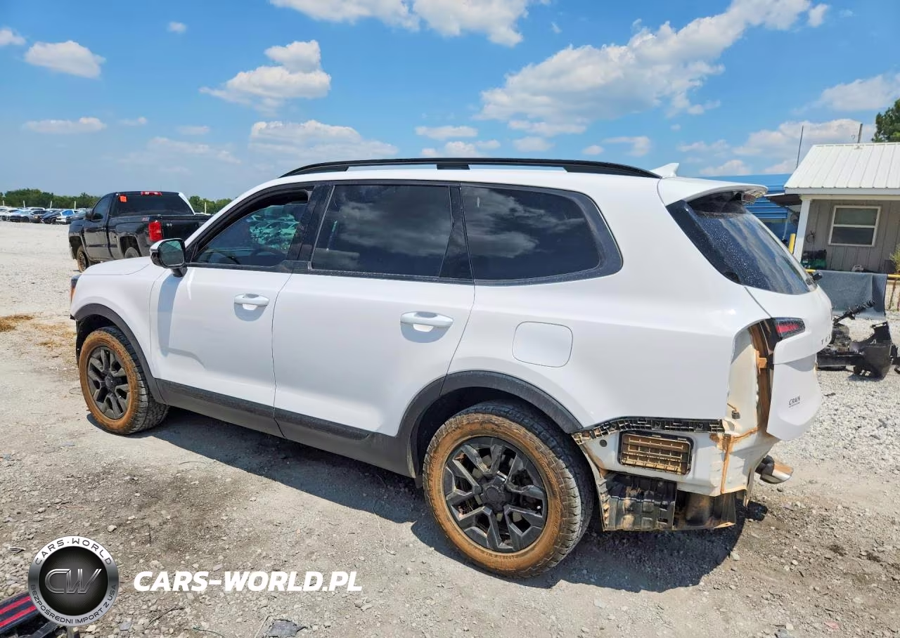 2025 Kia Telluride Sx-Prestige X-Pro VIN:5XYP5DGC9SG627655 - 2