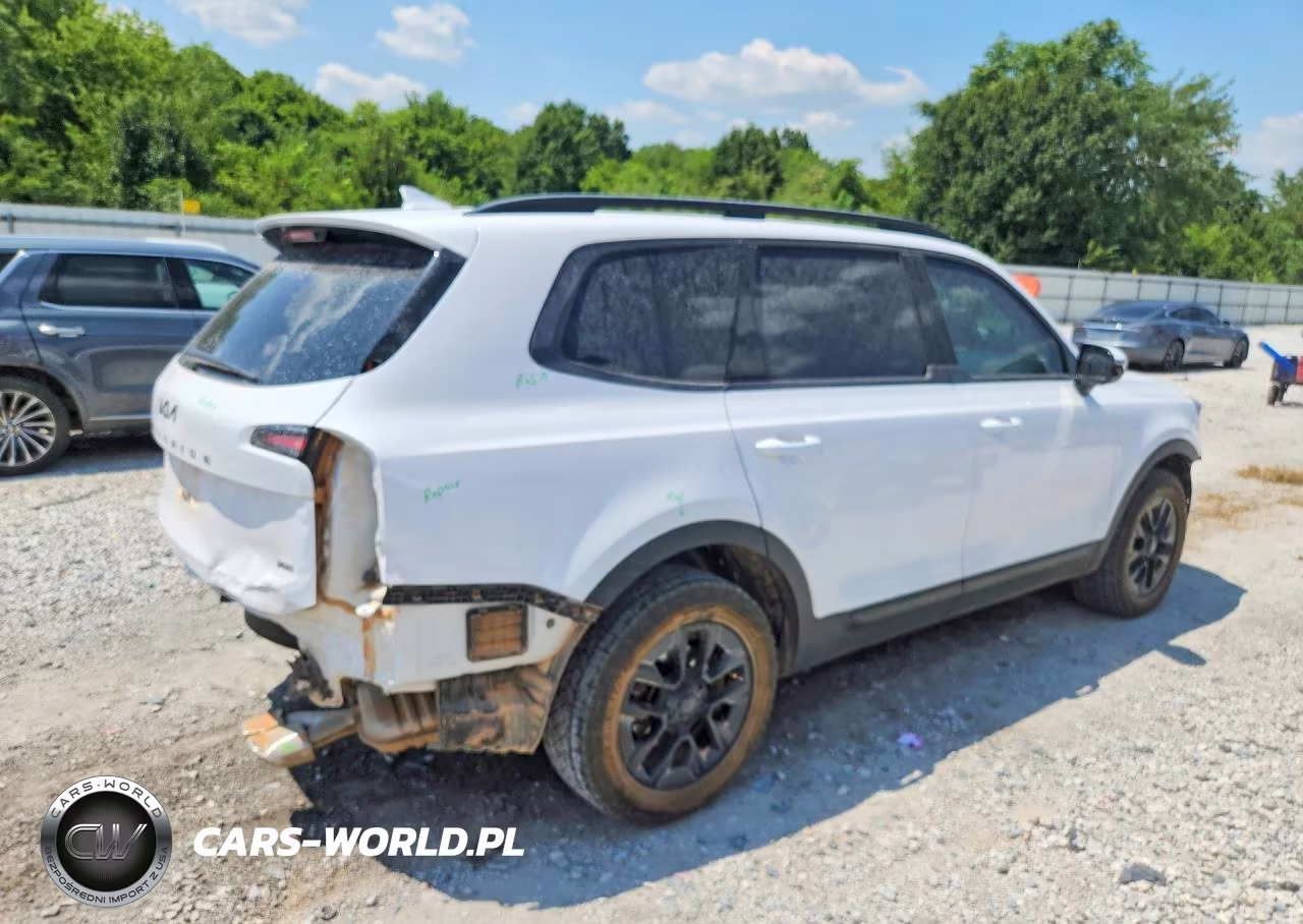 2025 Kia Telluride Sx-Prestige X-Pro VIN:5XYP5DGC9SG627655 - 3