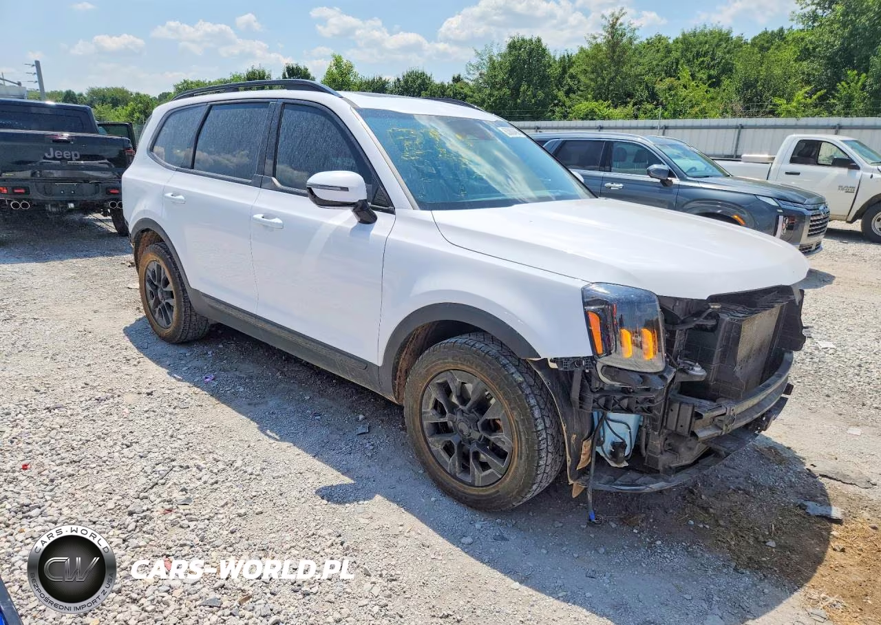 2025 Kia Telluride Sx-Prestige X-Pro VIN:5XYP5DGC9SG627655 - 4