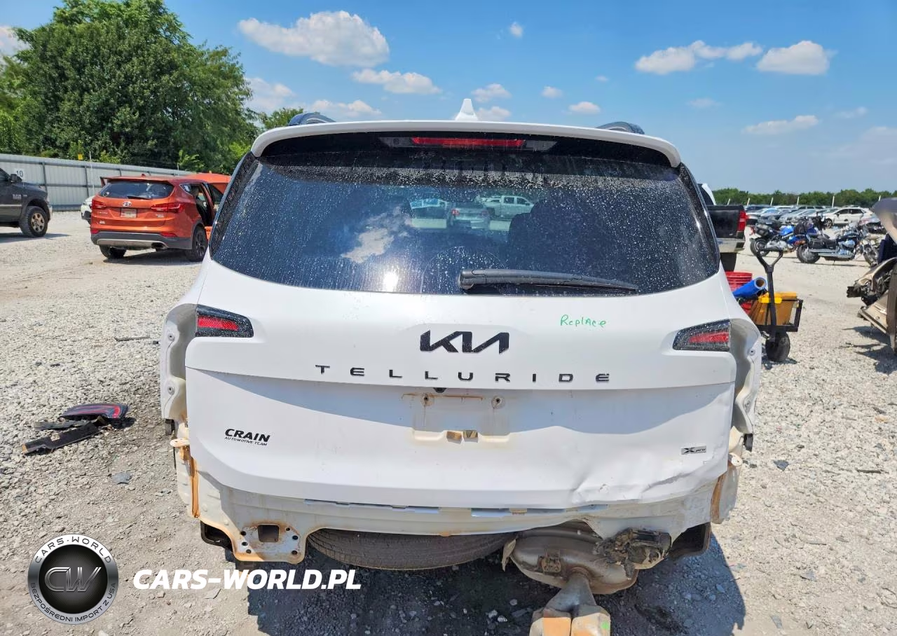 2025 Kia Telluride Sx-Prestige X-Pro VIN:5XYP5DGC9SG627655 - 6