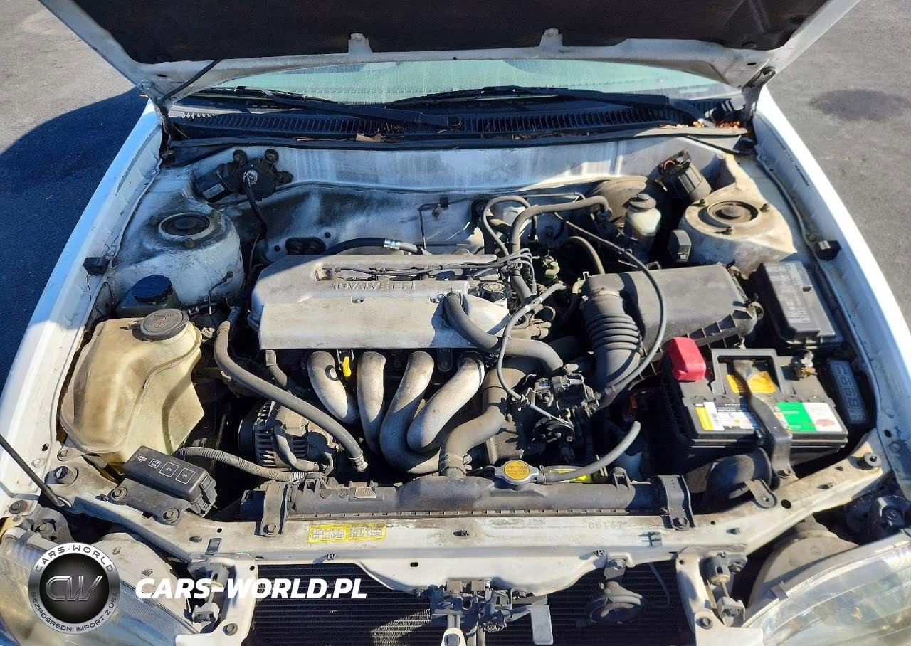 1999 Toyota Corolla Ve VIN:1NXBR12E4XZ142721 - 11