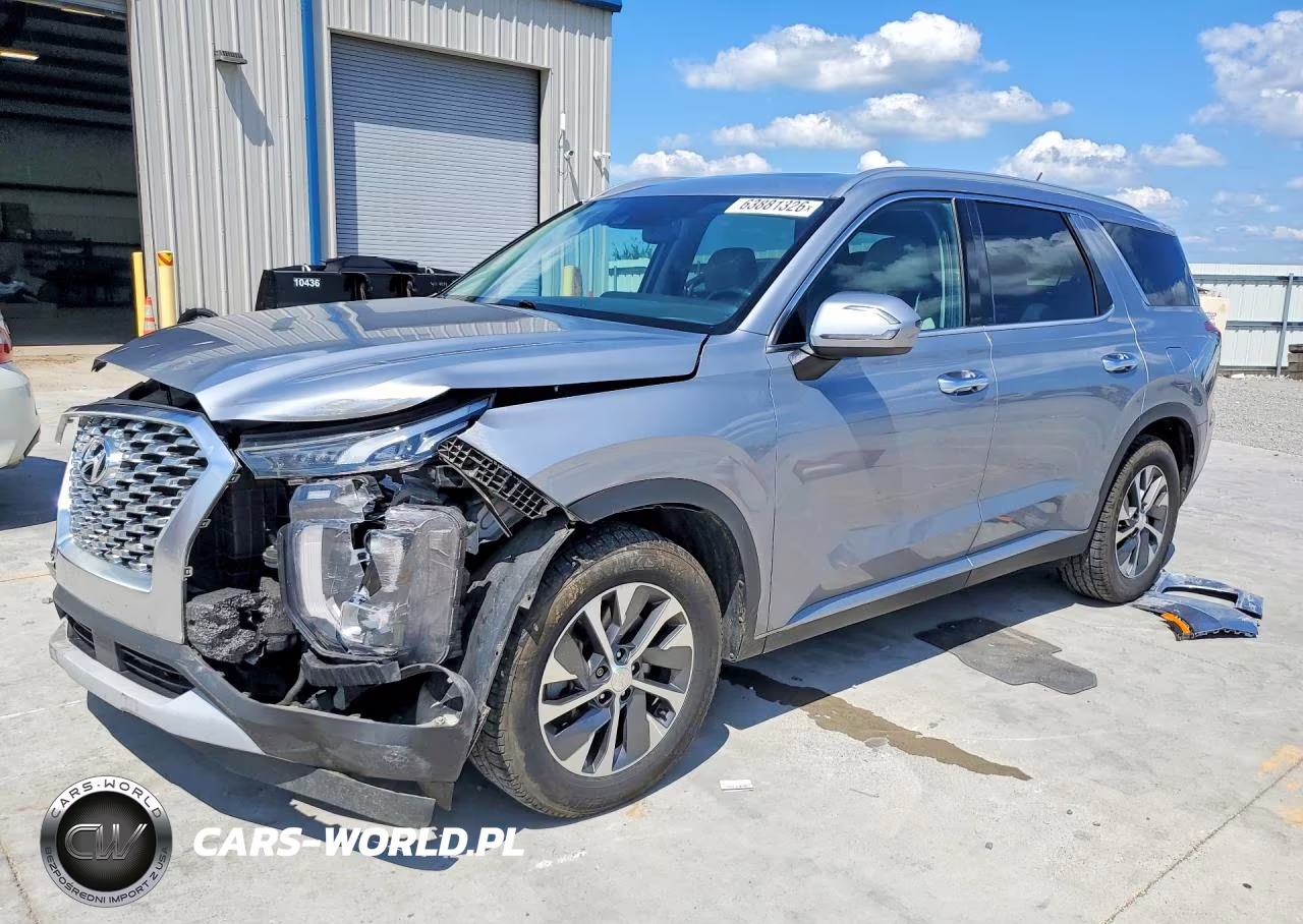 2020 Hyundai Palisade Sel VIN:KM8R2DHE0LU145590 - 1