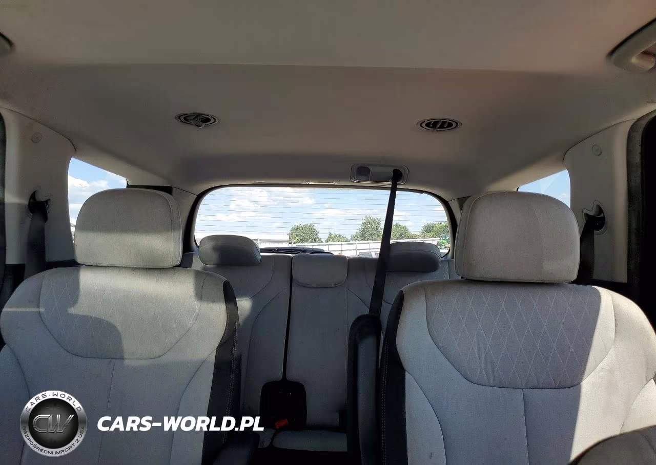 2020 Hyundai Palisade Sel VIN:KM8R2DHE0LU145590 - 10