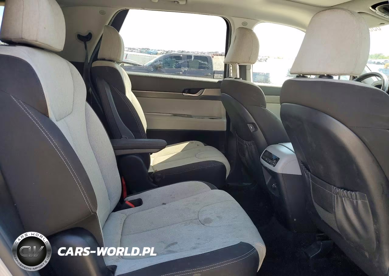 2020 Hyundai Palisade Sel VIN:KM8R2DHE0LU145590 - 11
