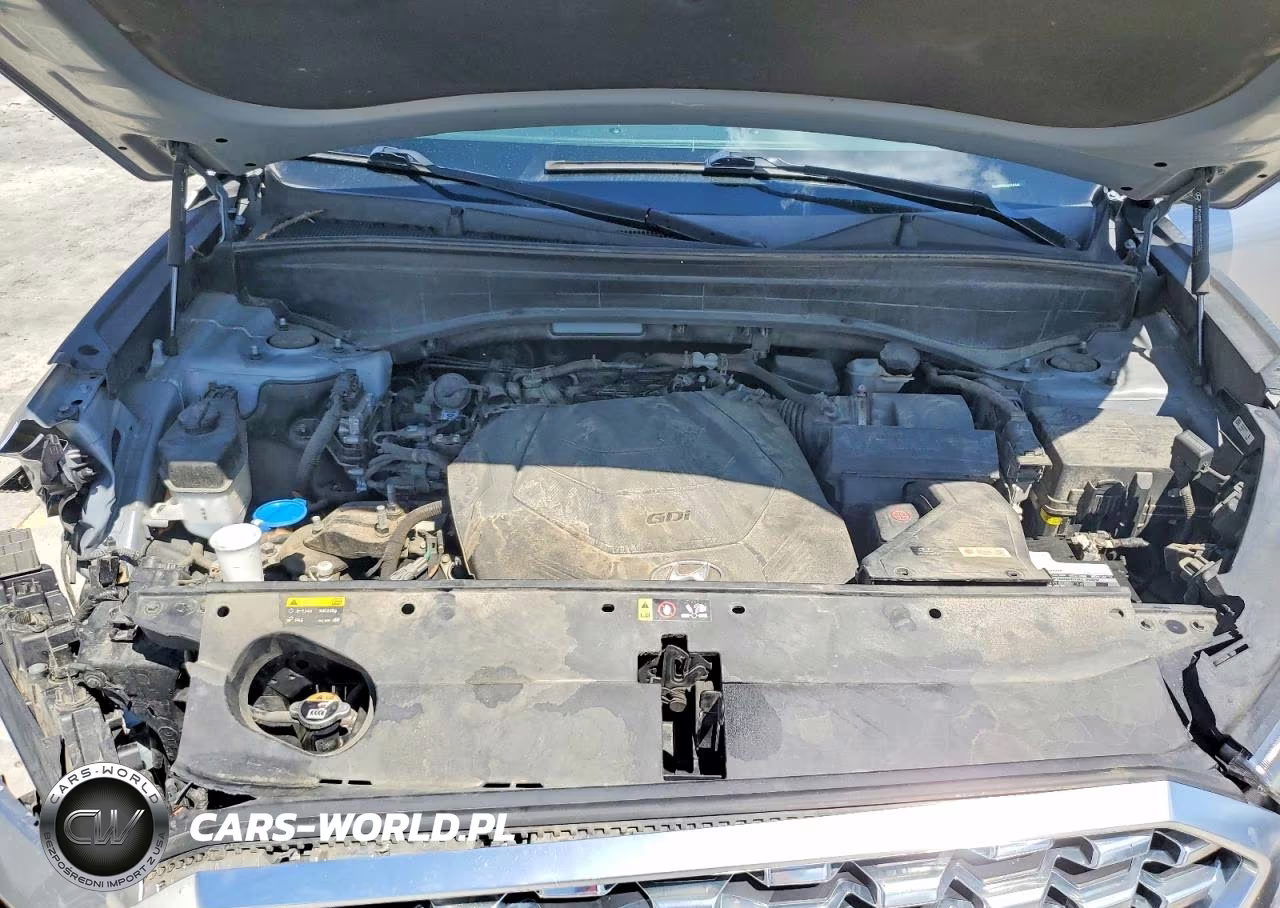 2020 Hyundai Palisade Sel VIN:KM8R2DHE0LU145590 - 12