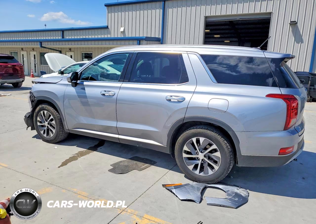 2020 Hyundai Palisade Sel VIN:KM8R2DHE0LU145590 - 2