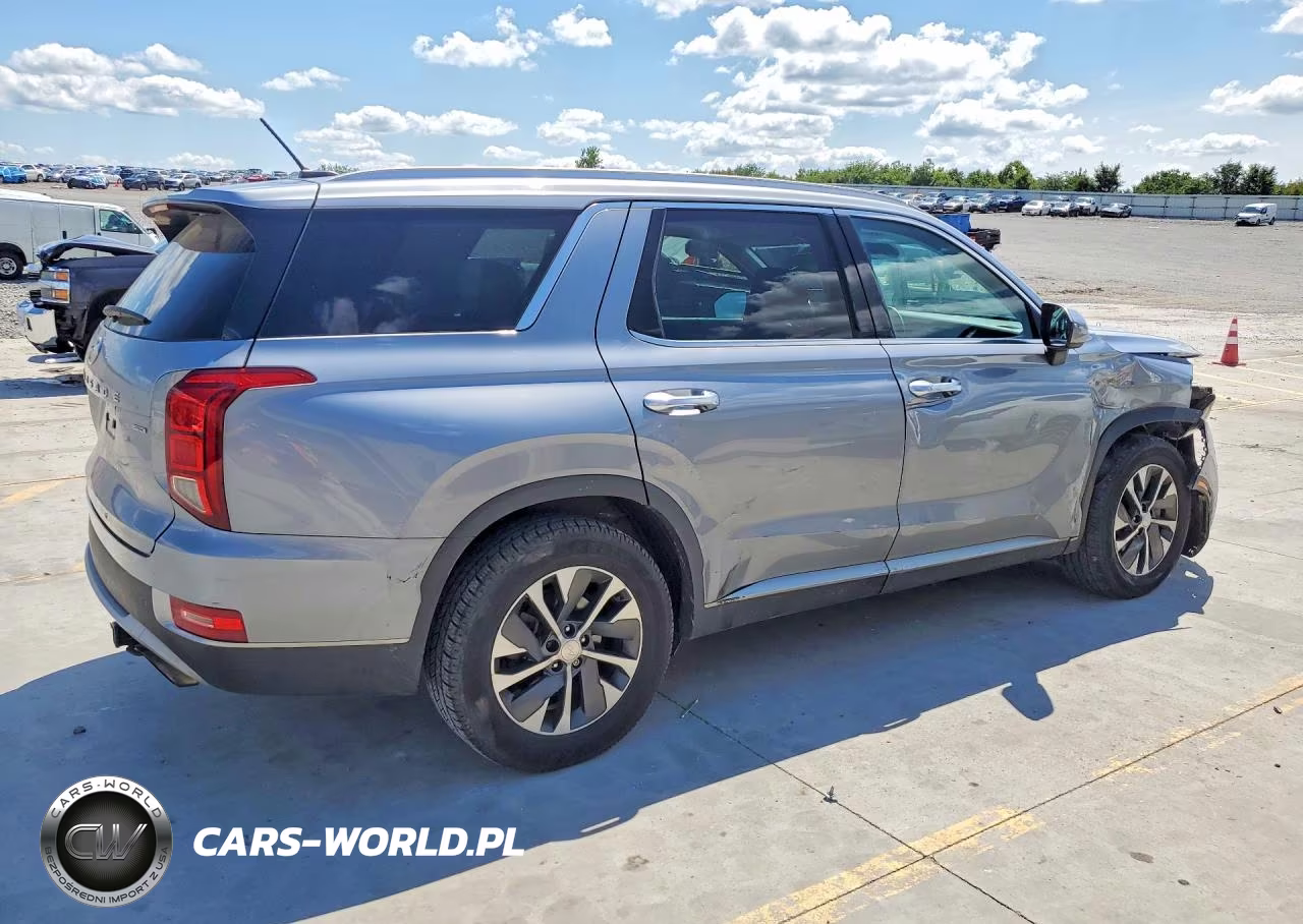 2020 Hyundai Palisade Sel VIN:KM8R2DHE0LU145590 - 3