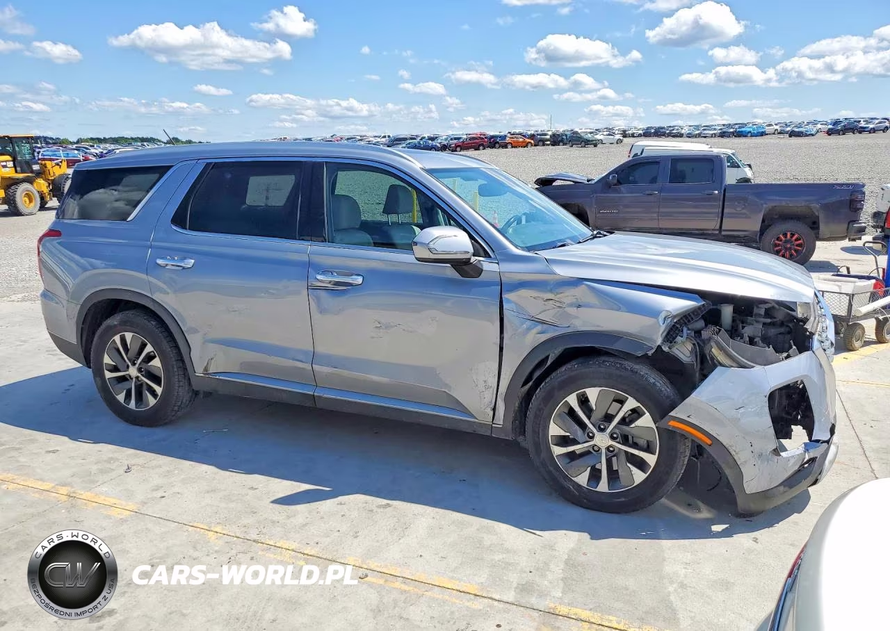 2020 Hyundai Palisade Sel VIN:KM8R2DHE0LU145590 - 4