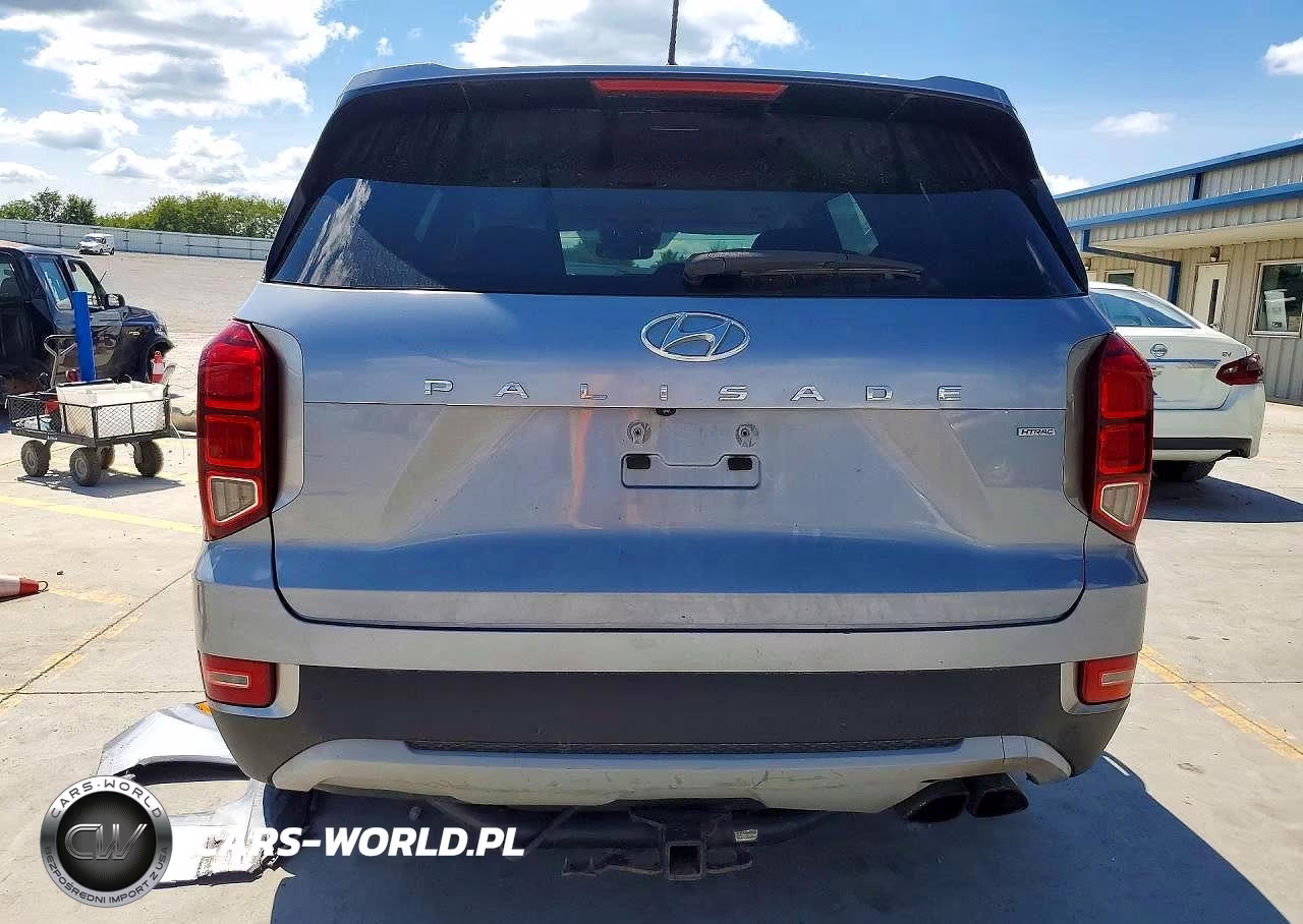 2020 Hyundai Palisade Sel VIN:KM8R2DHE0LU145590 - 6