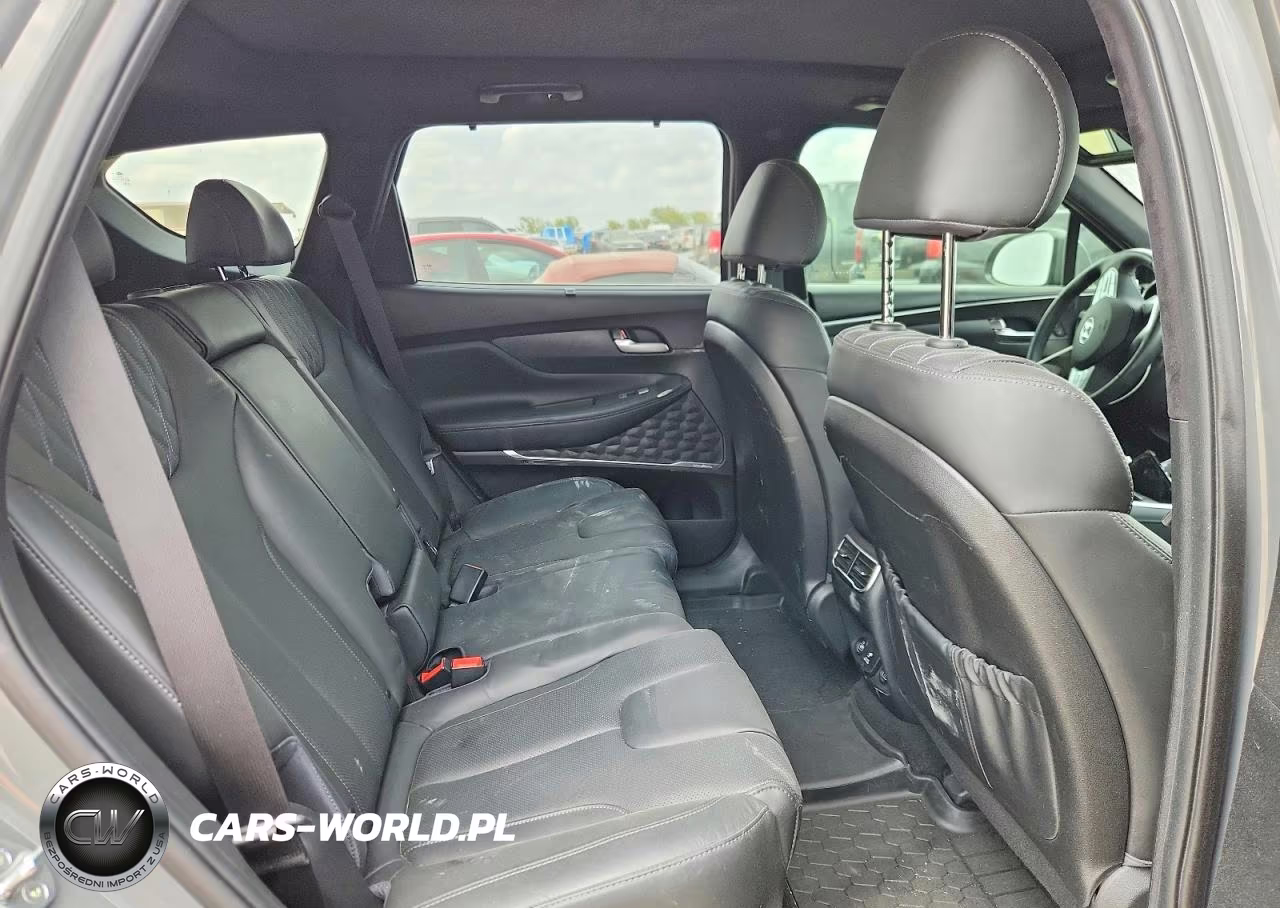 2023 Hyundai Santa Fe Calligraphy VIN:5NMS54AL3PH562382 - 10