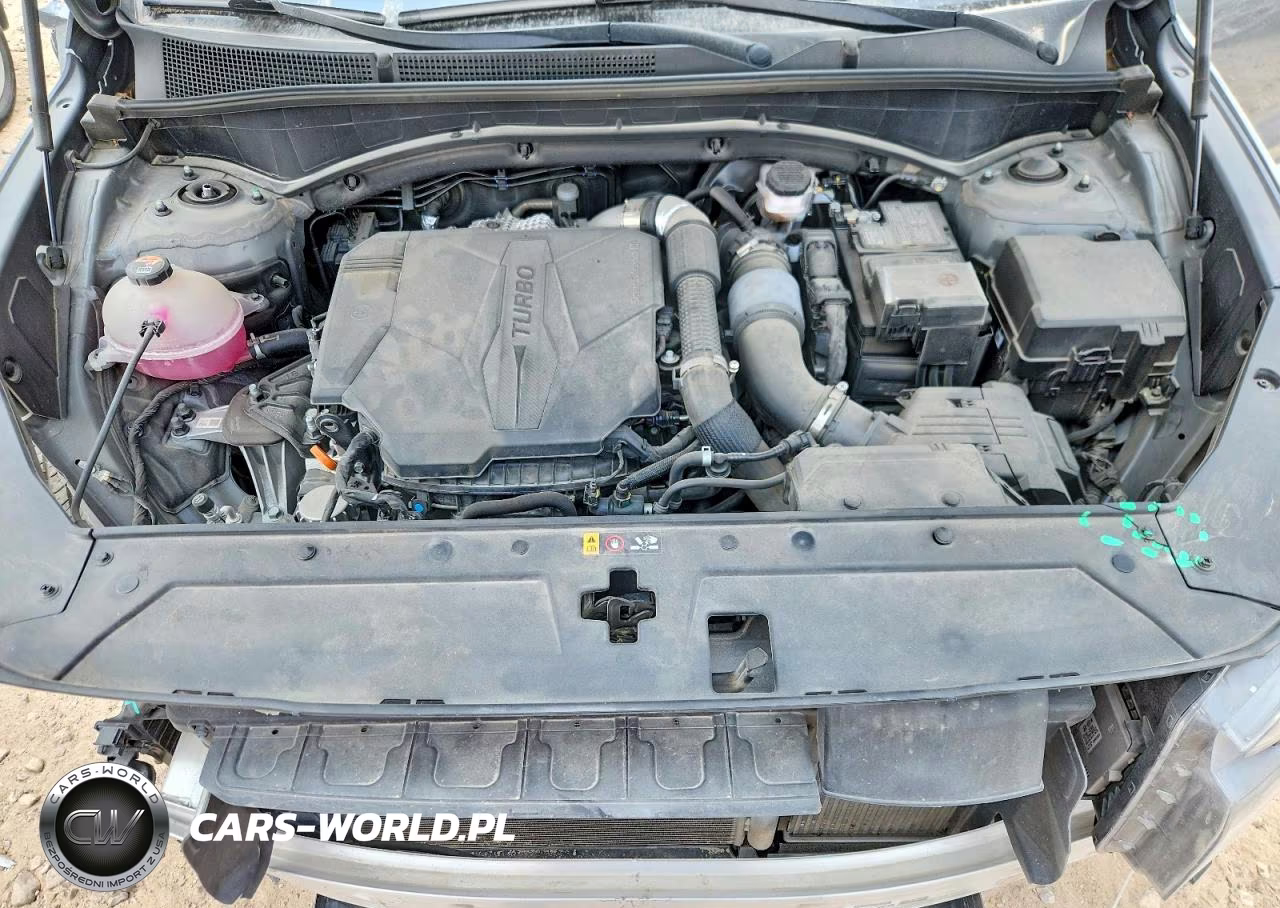 2023 Hyundai Santa Fe Calligraphy VIN:5NMS54AL3PH562382 - 11