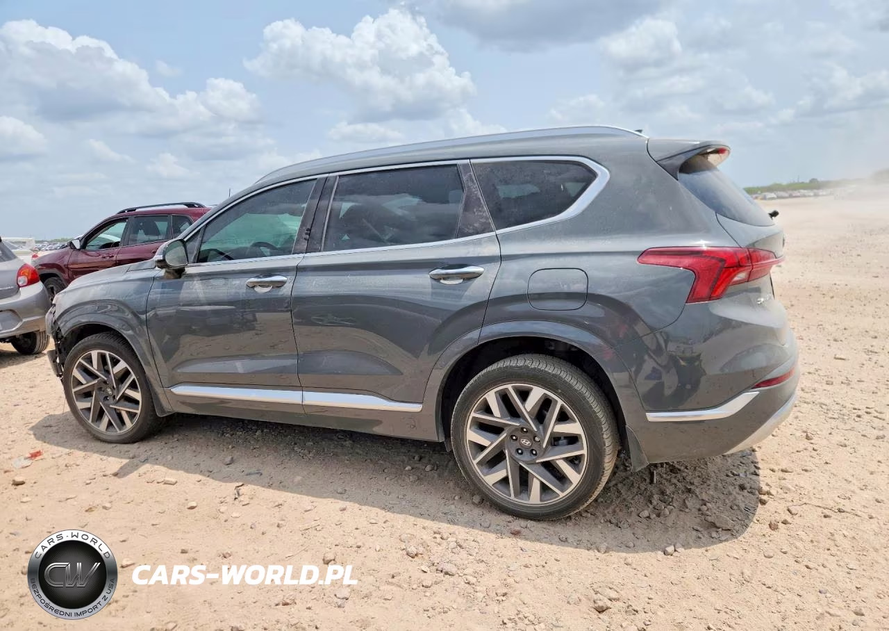 2023 Hyundai Santa Fe Calligraphy VIN:5NMS54AL3PH562382 - 2