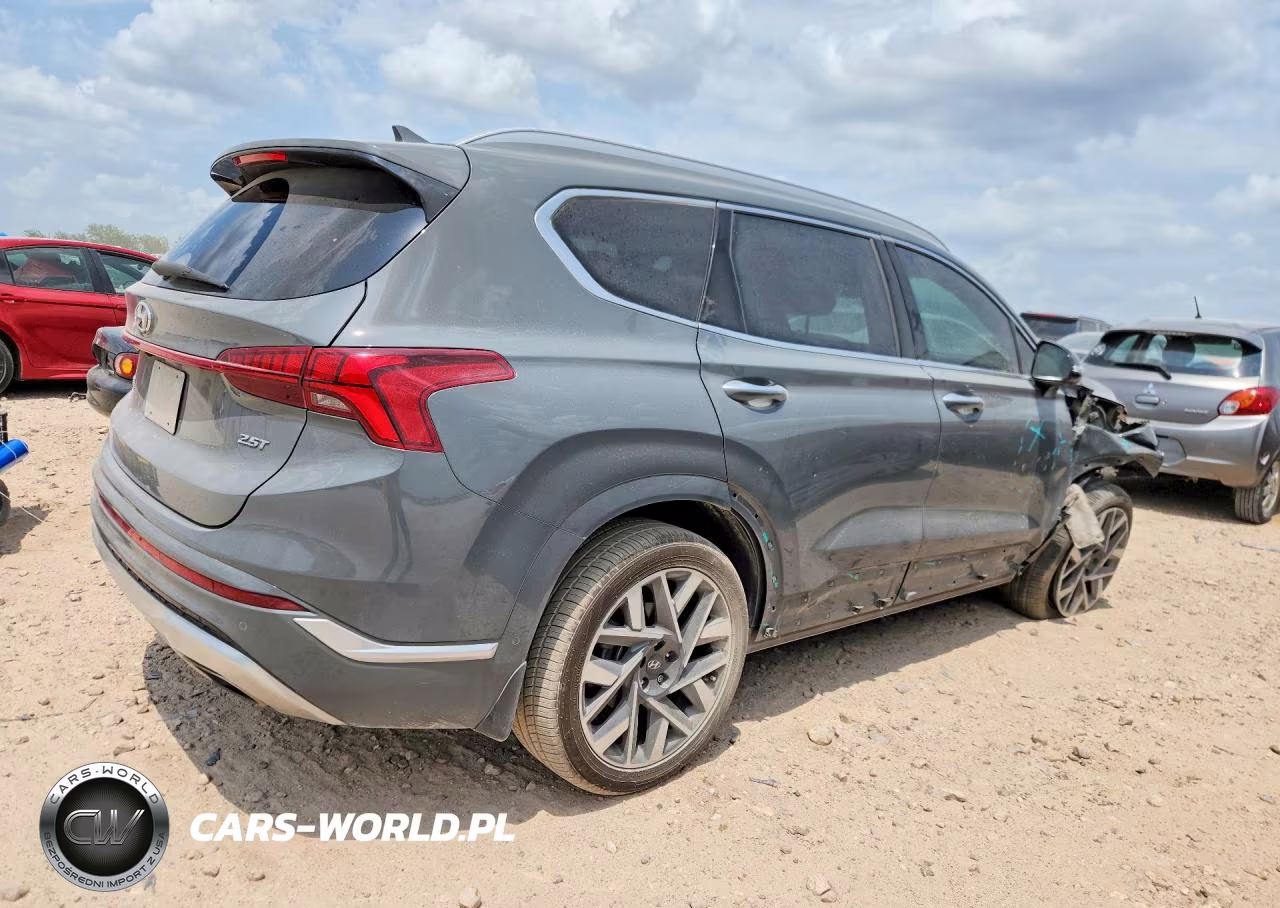 2023 Hyundai Santa Fe Calligraphy VIN:5NMS54AL3PH562382 - 3